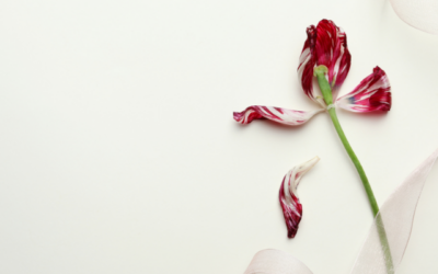 How to Boost Libido Naturally